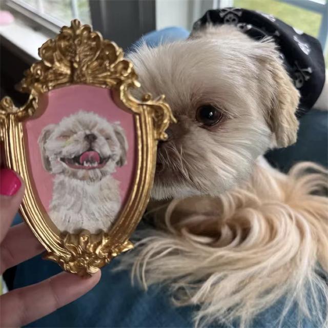 Original pet photo